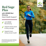 Cápsula diaria de Red Sage Plus, fácil de tragar para uso diario.
