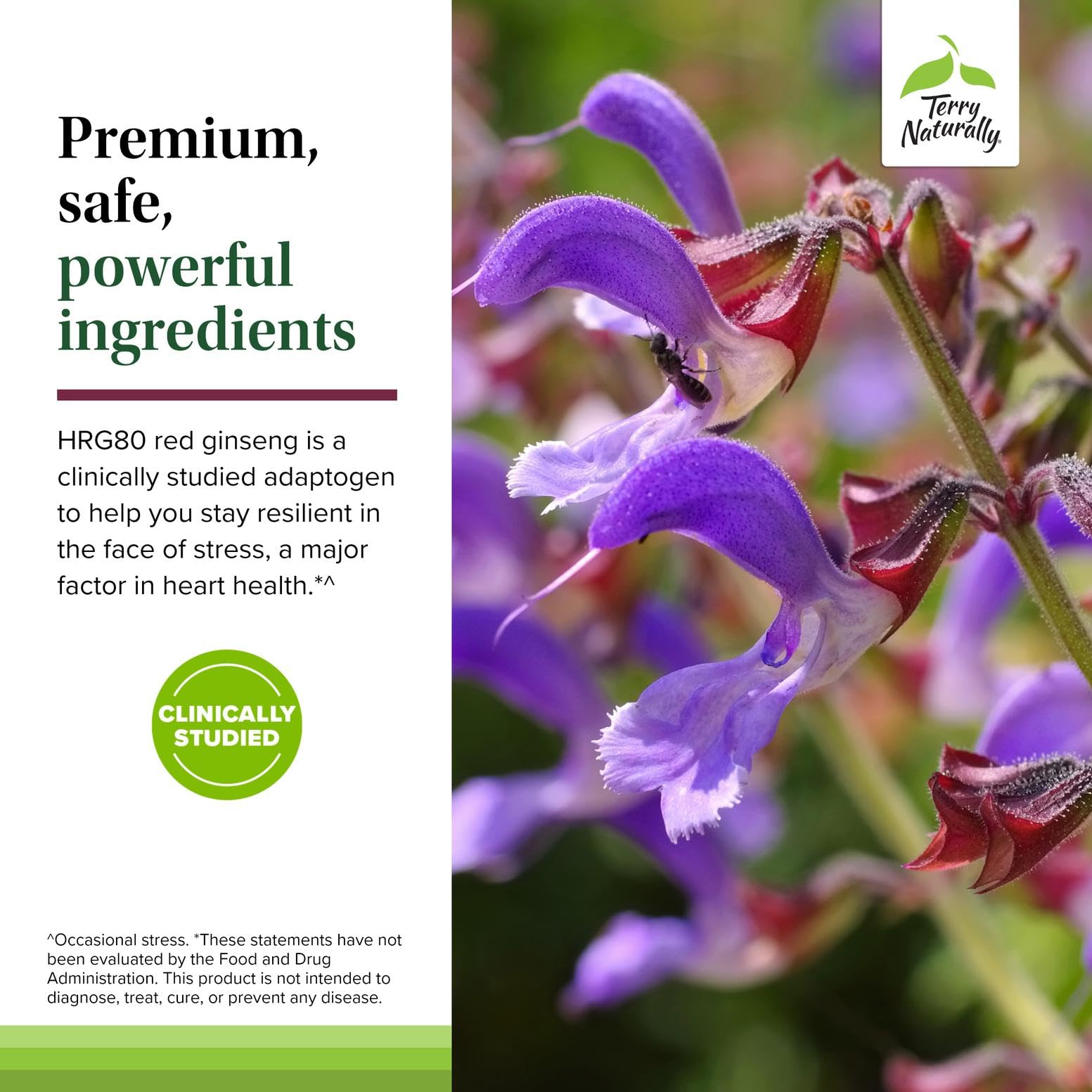 Ingrediente HRG80 Red Ginseng incluido en Red Sage Plus para un toque de energía suave.