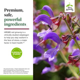 Ingrediente HRG80 Red Ginseng incluido en Red Sage Plus para un toque de energía suave.