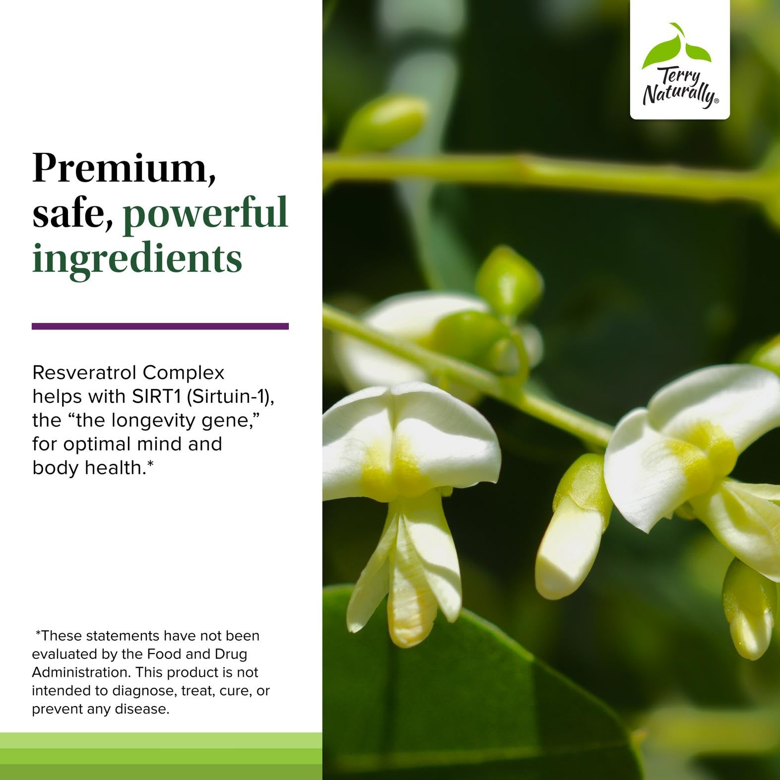Terry Naturally Resveratrol Complex, envase compacto, ideal para viajes.