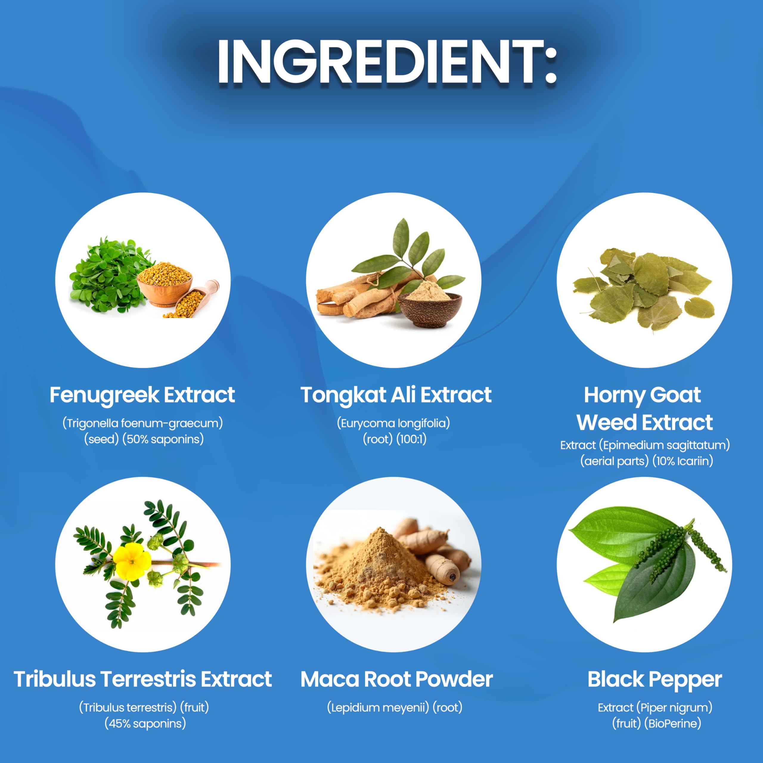 TESTO BIOGEN dosis recomendada para uso seguro y regular.
