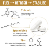 Thalacy Spermidina: imagen de zinc y fórmula para apoyar funciones celulares