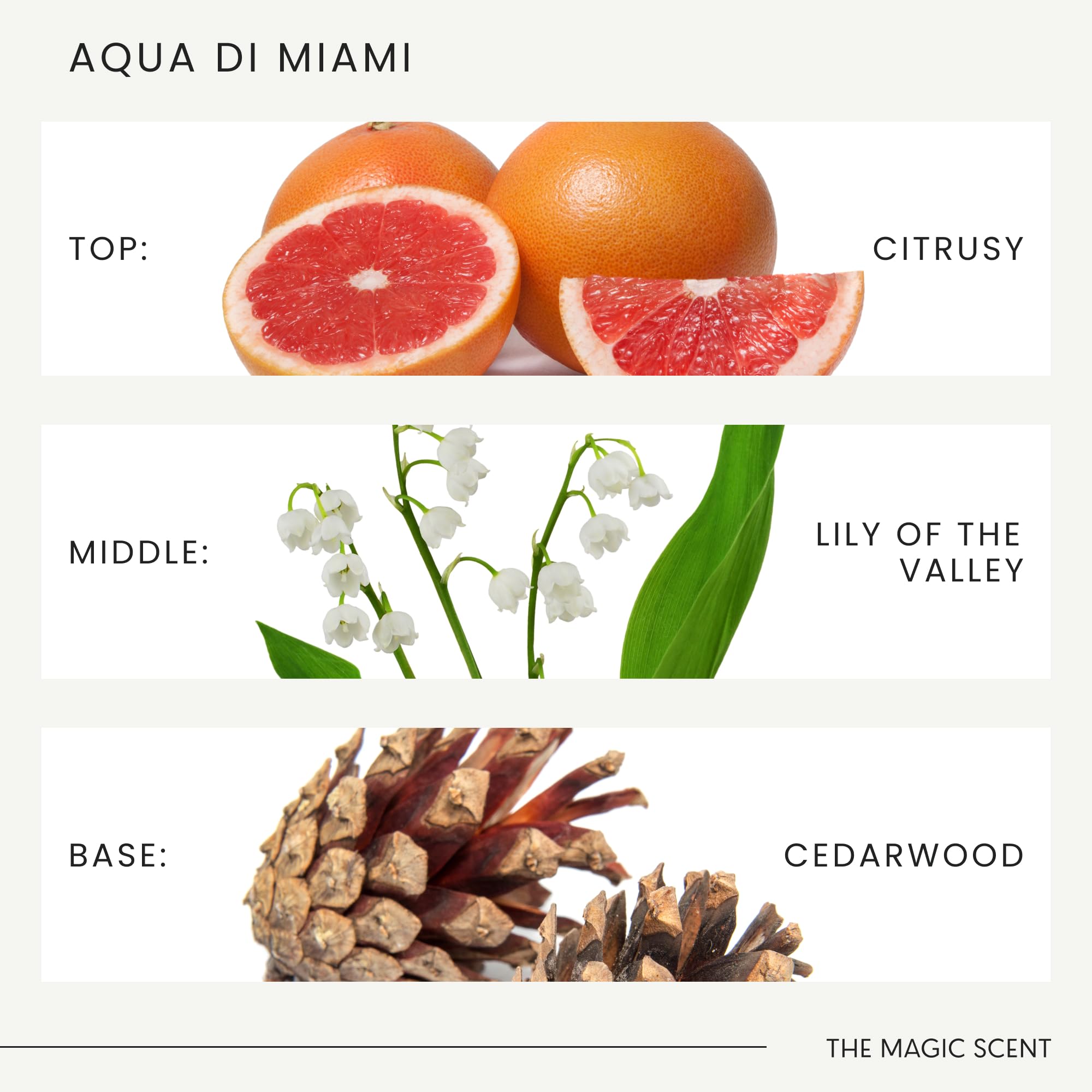 Sensación de lujo en entorno hotelero con Aqua di Miami.