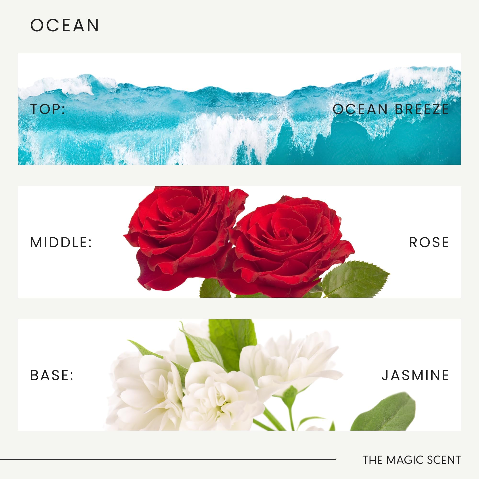 THE MAGIC SCENT: difusor para aire relajante en cualquier espacio.