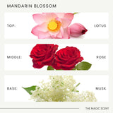 THE MAGIC SCENT ingredientes premium, sin OGMs y sin parabenos.