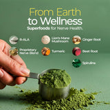 The Nerve Brand Neuropathy Superfood Blend en vaso, fácil de incorporar a tu mañana.