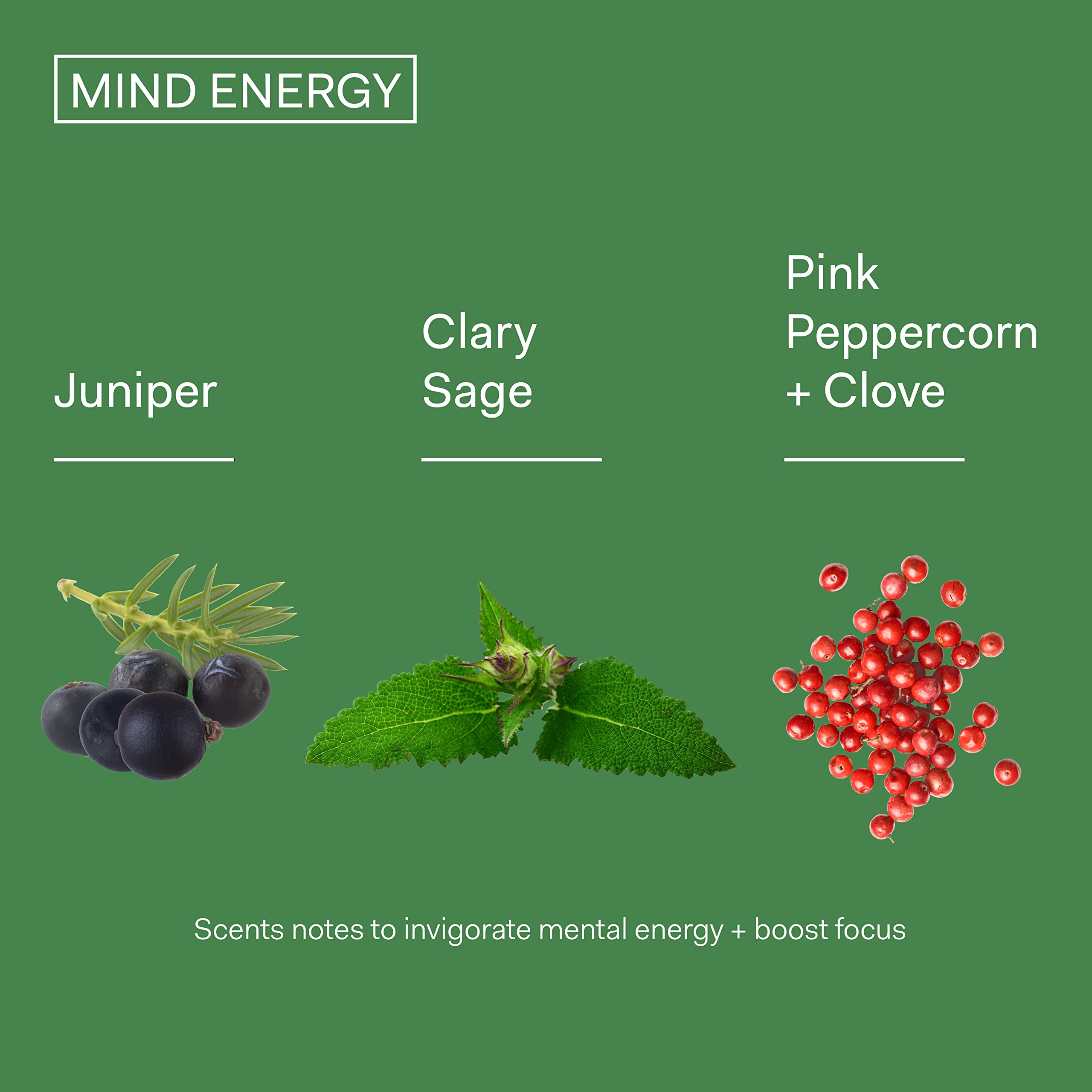 The Nue Co Mind Energy fragancia aplicación en la piel para ritual diario