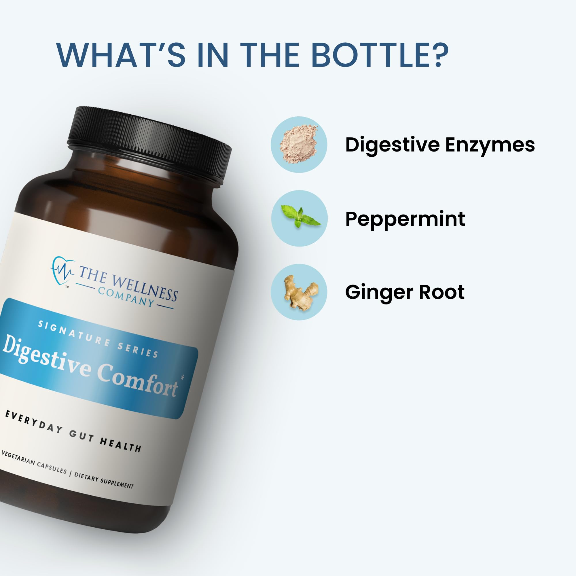 The Wellness Company Confort Digestivo: enzimas naturales, menta y jengibre para digestión
