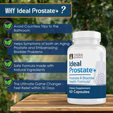 Therabotanics Ideal Prostate Plus, fabricación en EE. UU.: proceso seguro y BPM