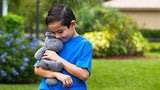 Thermal-Aid Happy The Hippo pack reutilizable para calor y frío durante todo el año.