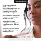 Beneficio BDNF con THORNE Brain Factors para aprendizaje