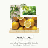 Thymes Ambientador en Spray: notas cítricas de limón y verbena para ambientes frescos.