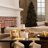 Vela Thymes Frasier Fir con borde dorado 24K, toque elegante para cualquier sala.