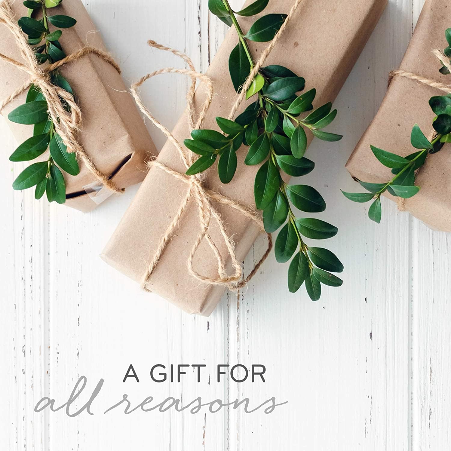 Vela Thymes Frasier Fir con detalle cerámico, diseño refinado.