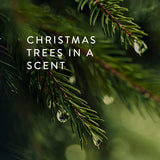 Vela Thymes Frasier Fir como regalo elegante para ocasiones especiales.