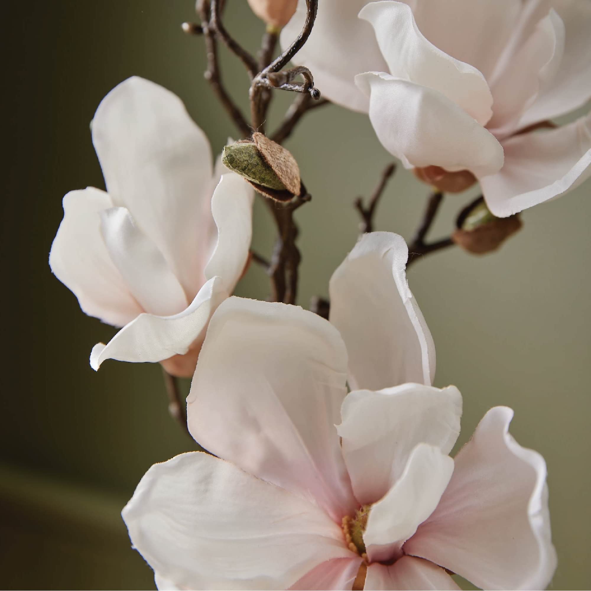 Frasco de Magnolia Willow en cristal, aporta elegancia y fragancia duradera al espacio.
