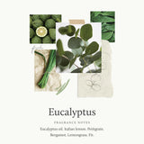 Recarga Eucalipto Thymes Pura 4 con notas frescas.
