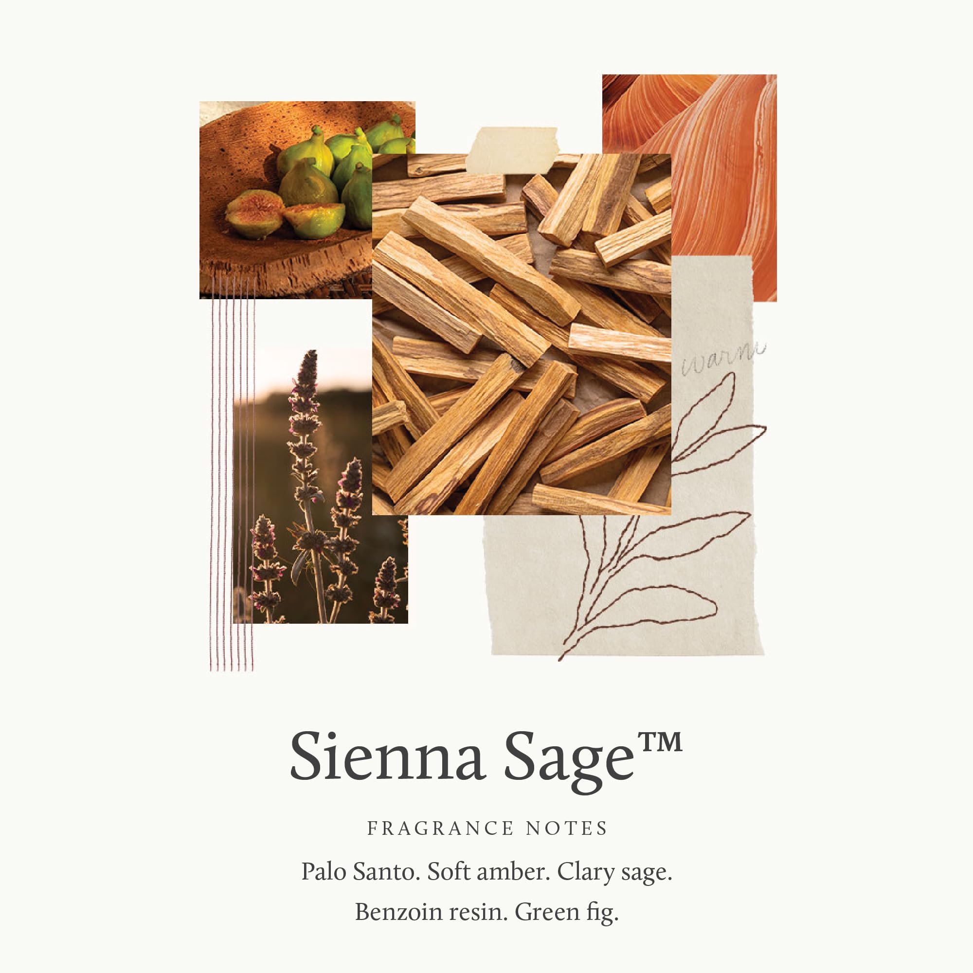 Thymes Sienna Sage botella-fragancia: envase elegante para perfumar tu sala.