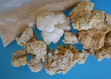 TIGERMM Tiger Milk Mushroom cápsula detalle forma vegetal para uso diario.