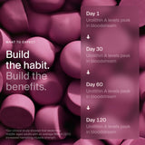 Timeline Mitopure mejora potencial en energía muscular y vitalidad.