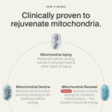 Timeline Mitopure label detail highlights Urolithin A for cellular support.