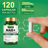 TKTALKER NAD Resveratrol, cápsulas, enfoque en potenciar NAD+ y vitalidad.