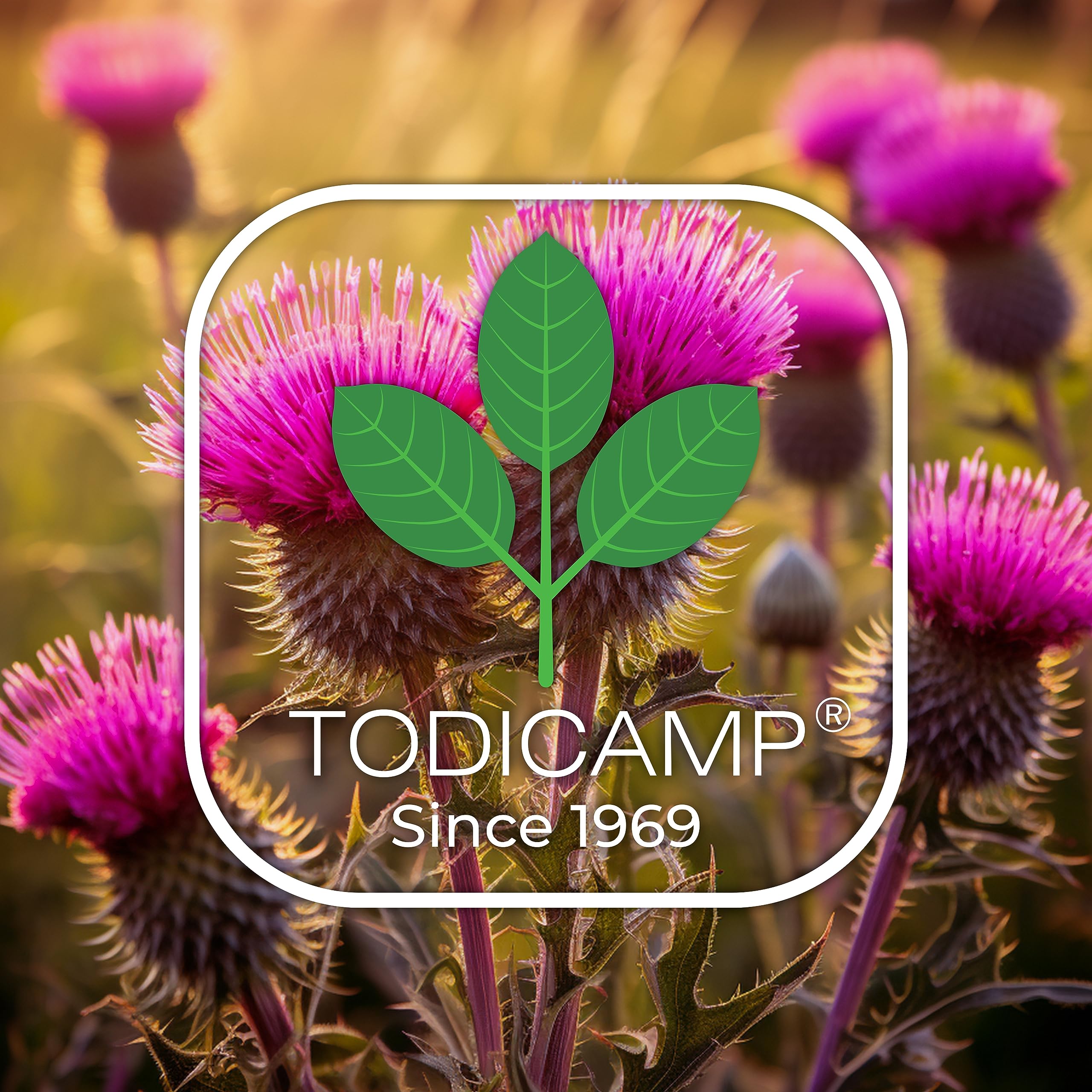 TODICAMP botella de 60 ml, conveniente para viajes