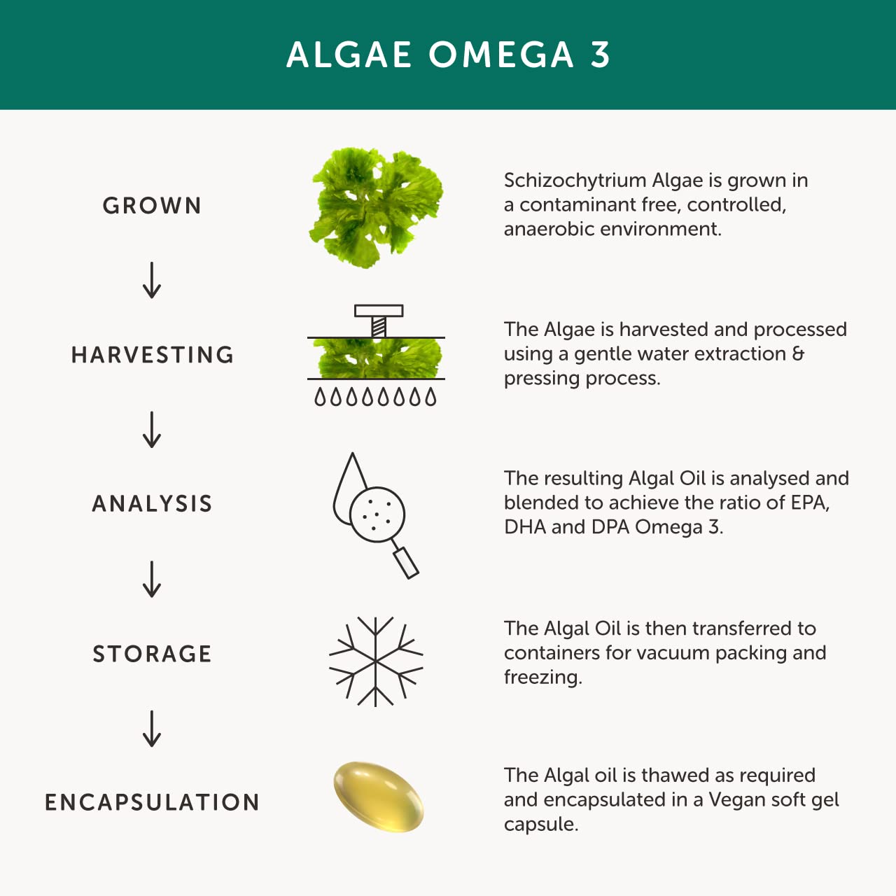 Together Omega 3: etiqueta con ingredientes clave y DHA/EPA.
