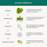 Together Omega 3: etiqueta con ingredientes clave y DHA/EPA.