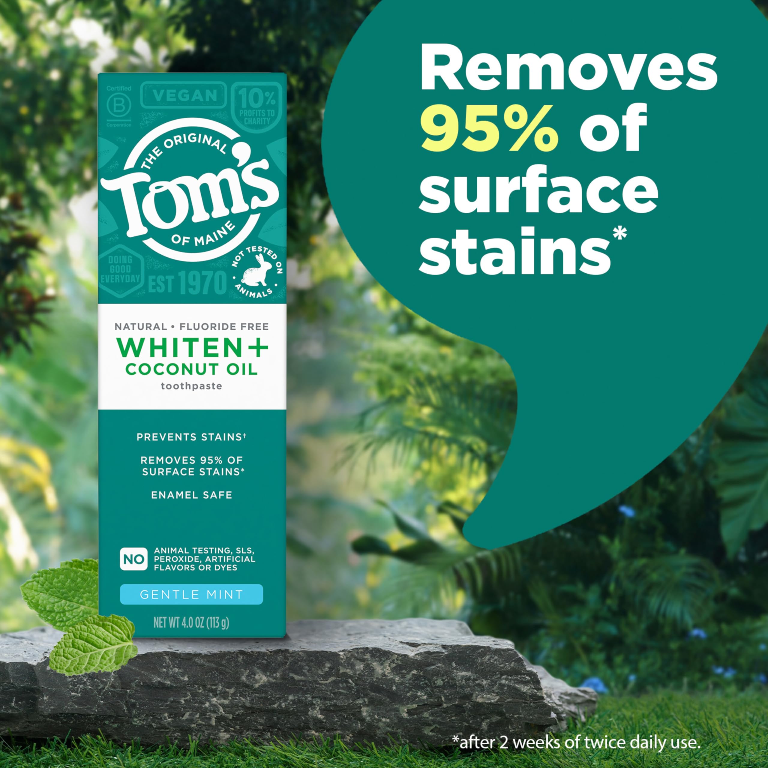 Tom’s of Maine Whiten Plus, protección del esmalte durante el cepillado