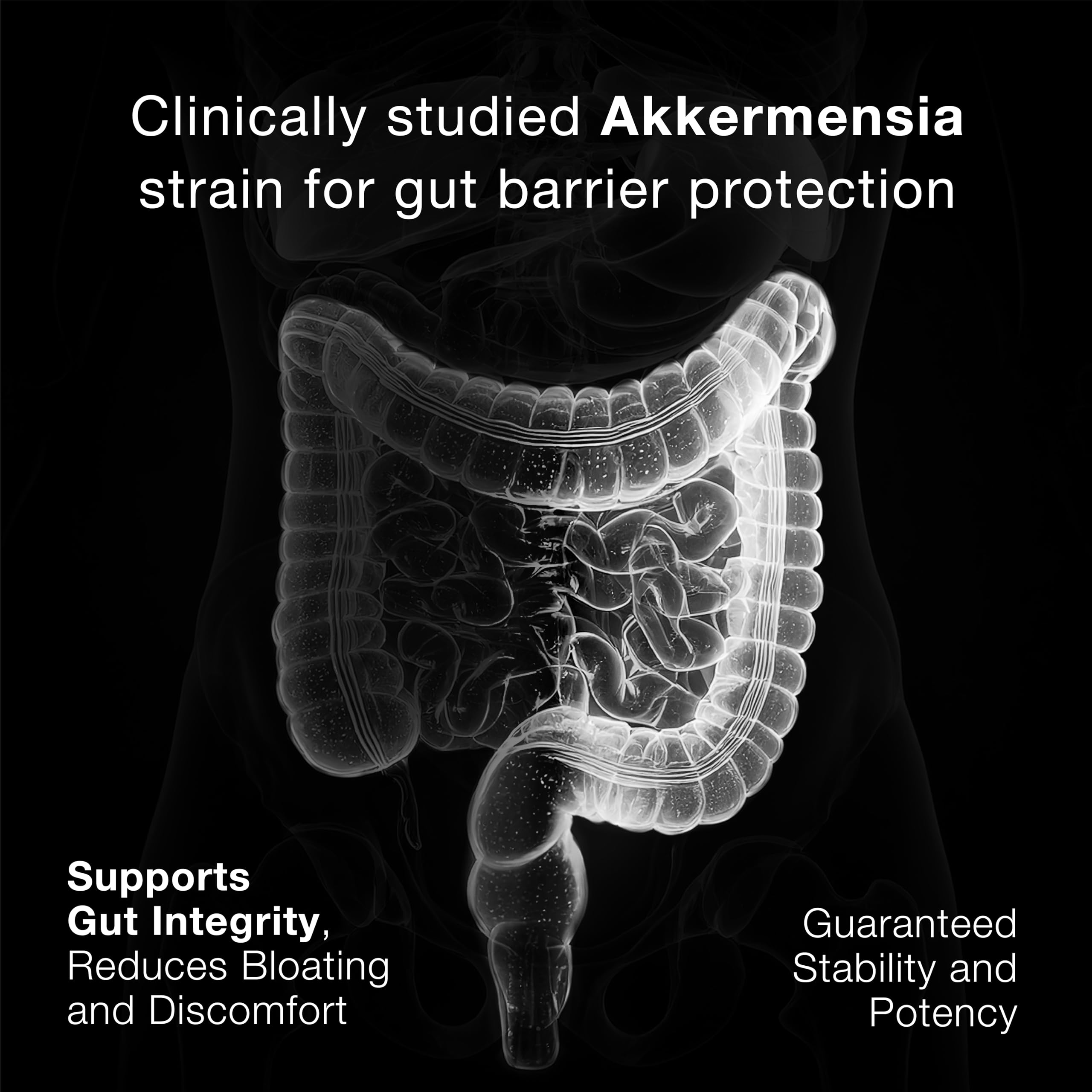 Toniiq Akkermansia Probiotico cápsulas fáciles de tragar para ingesta diaria