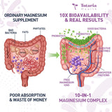 Totaria enzimas digestivas para descomponer nutrientes y facilitar la asimilacion.