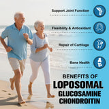 Etiqueta de Totaria Liposomal Glucosamina: fórmula detallada y perfiles de absorción