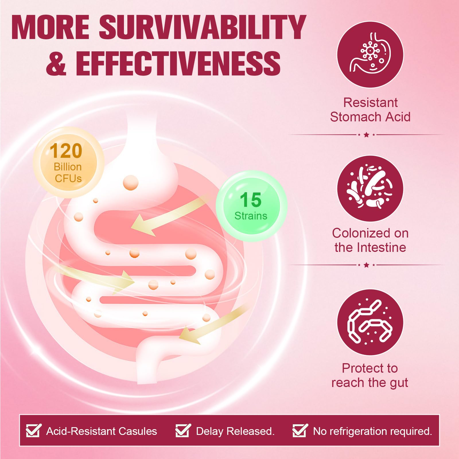 Totaria Probiotics enzimas digestivas para descomponer proteínas, grasas y carbohidratos