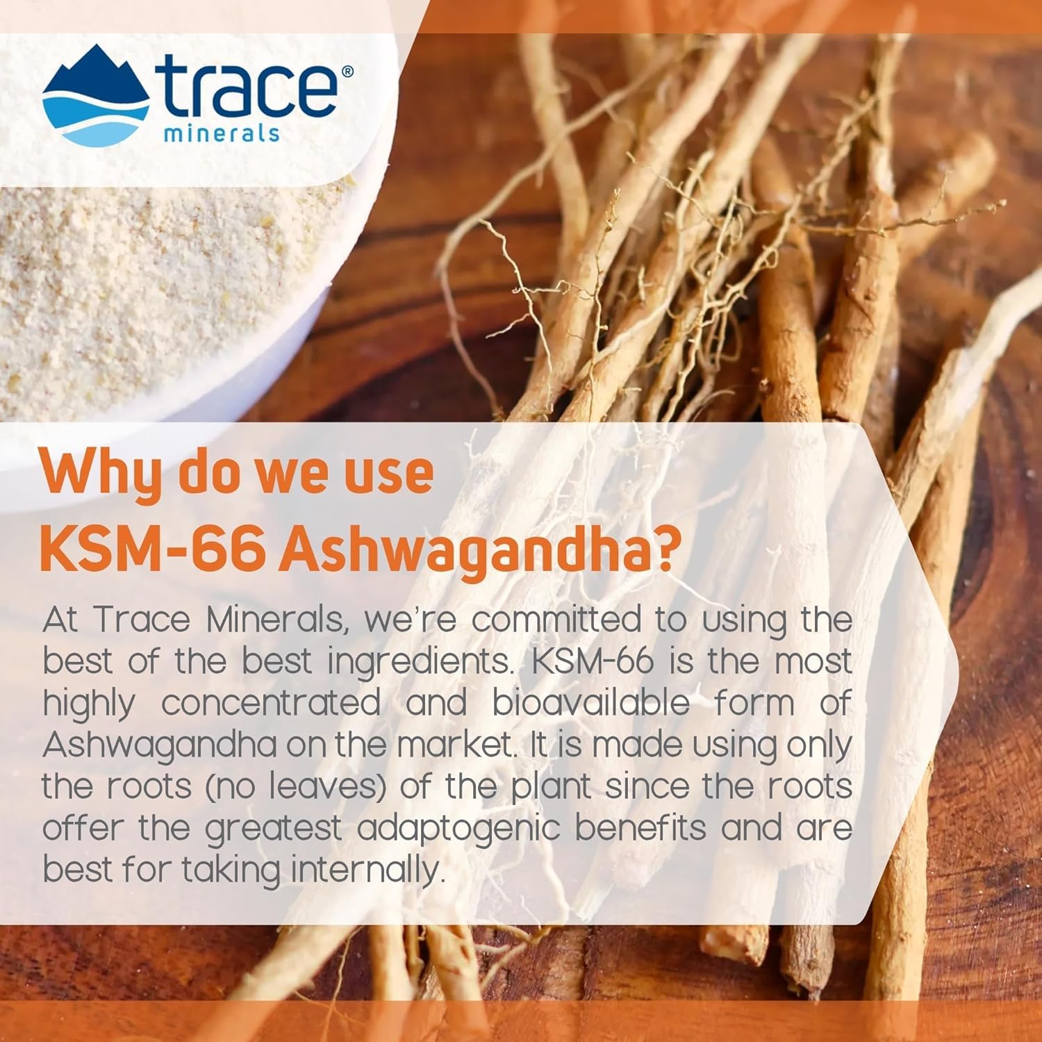 Trace Minerals Ashwagandha gomitas uso diario: complemento práctico para rutina enfocada