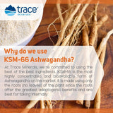 Trace Minerals Ashwagandha gomitas uso diario: complemento práctico para rutina enfocada
