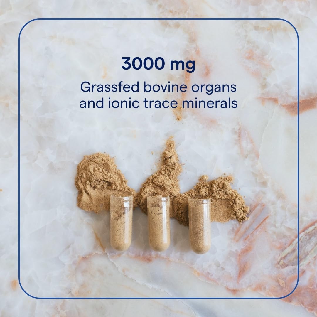 Trace Minerals Beef Organs: porciones diarias listas para tu rutina de bienestar.