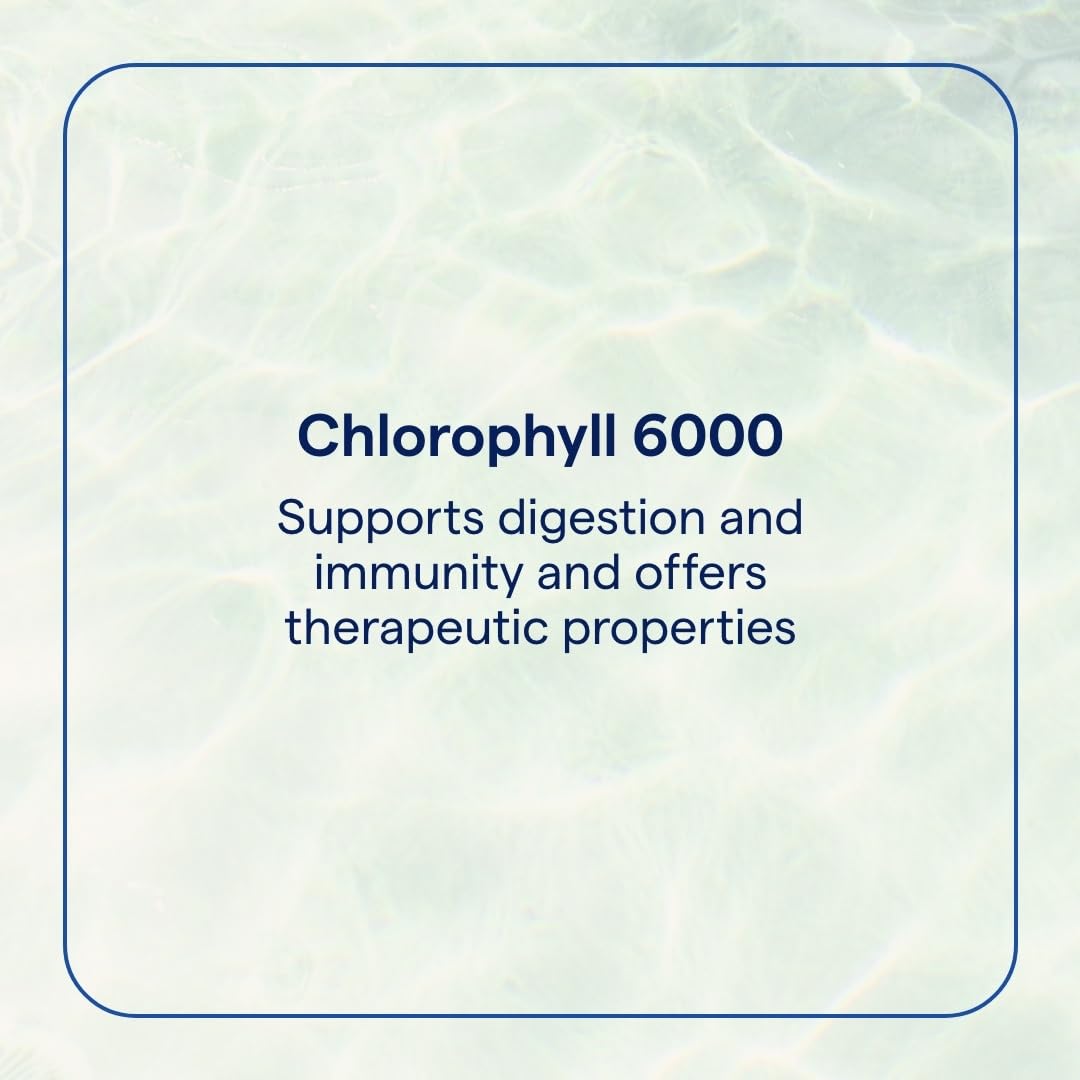 Trace Minerals Concentrated Ionic Chlorophyll cuentagotas facilita dosis diarias