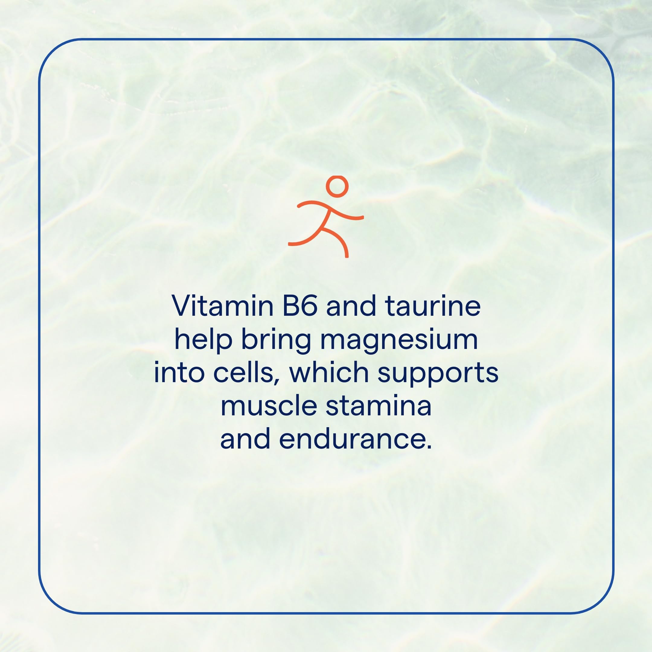 Trace Minerals Electrolyte Stamina: iconos veganos y sin gluten para estilo de vida saludable