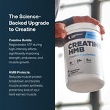 Cucharada medidora de Transparent Labs Creatine HMB para dosis consistentes durante el entrenamiento.
