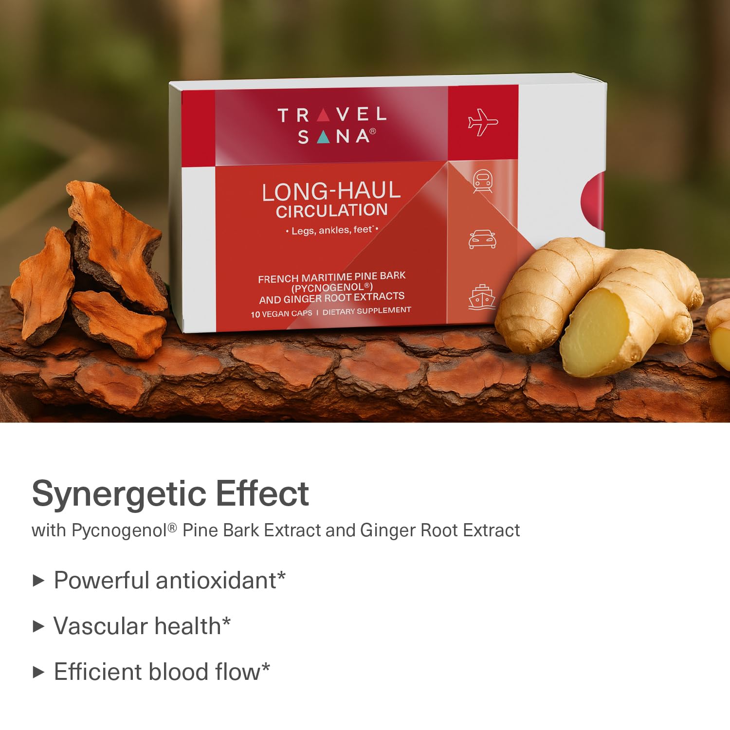 TRAVELSANA Pycnogenol 100 mg: tarro de cápsulas para ligereza diaria.