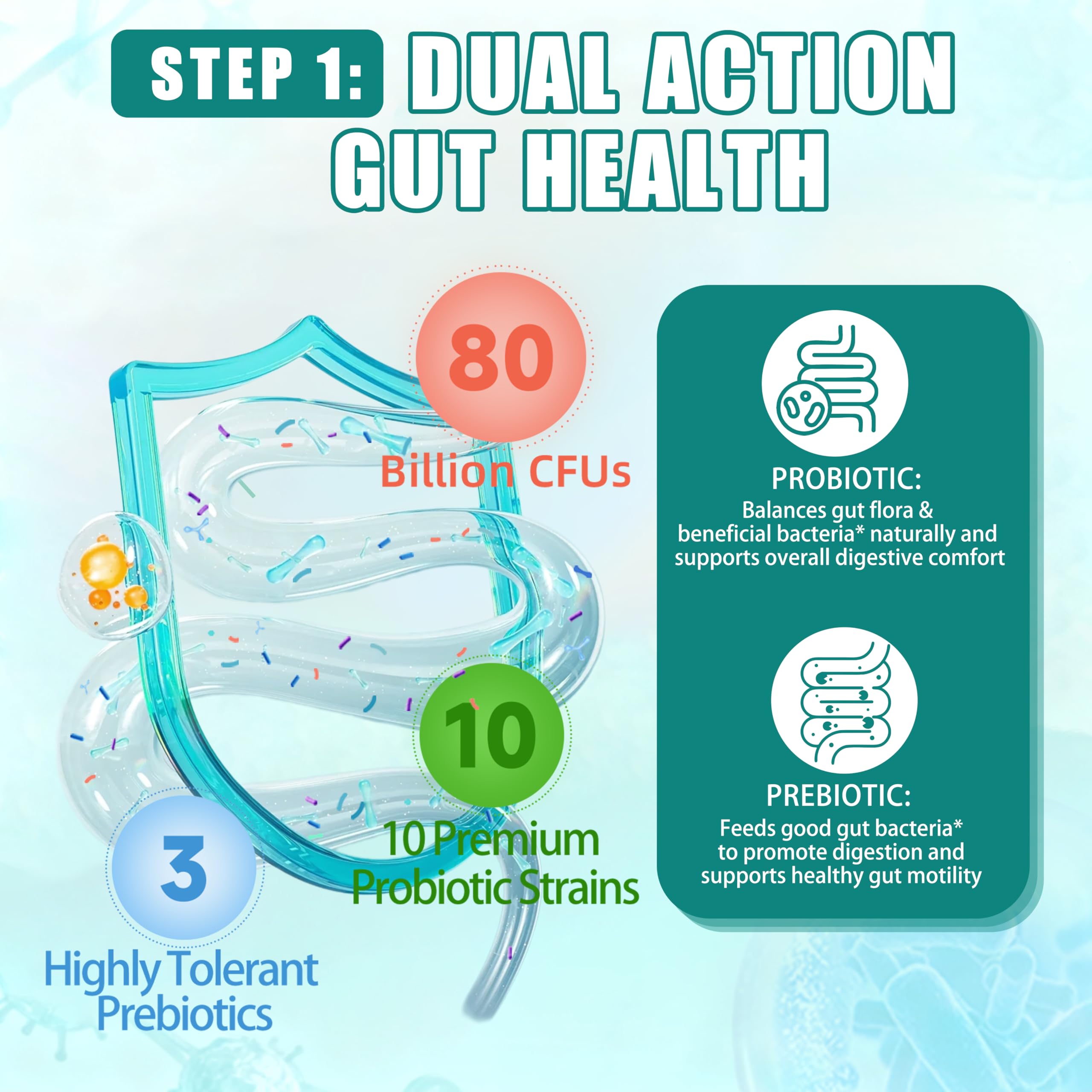 Trawecual L-glutamina para reparación de la barrera intestinal