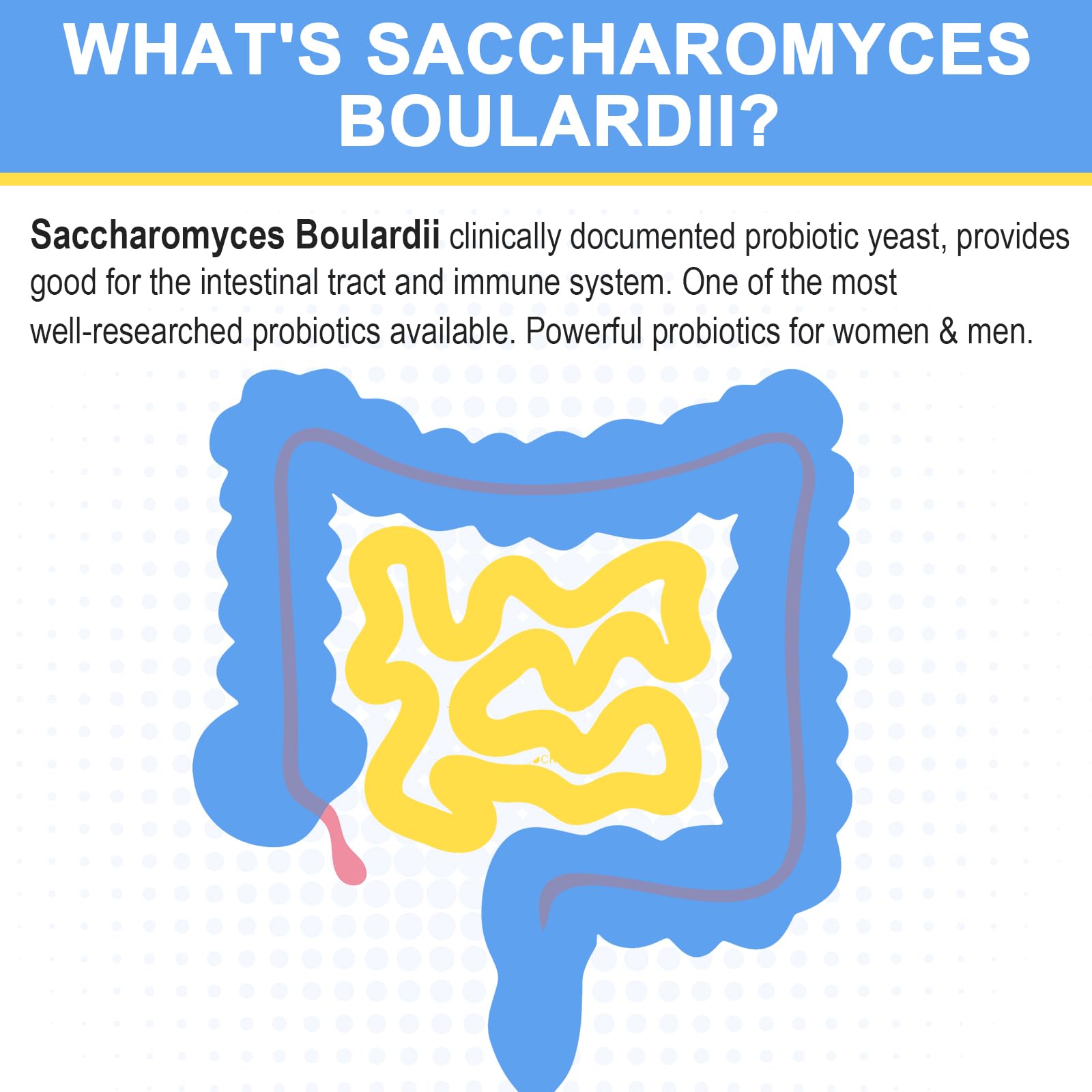Trehealtt Saccharomyces boulardii: cápsulas fáciles de incorporar para la salud intestinal.