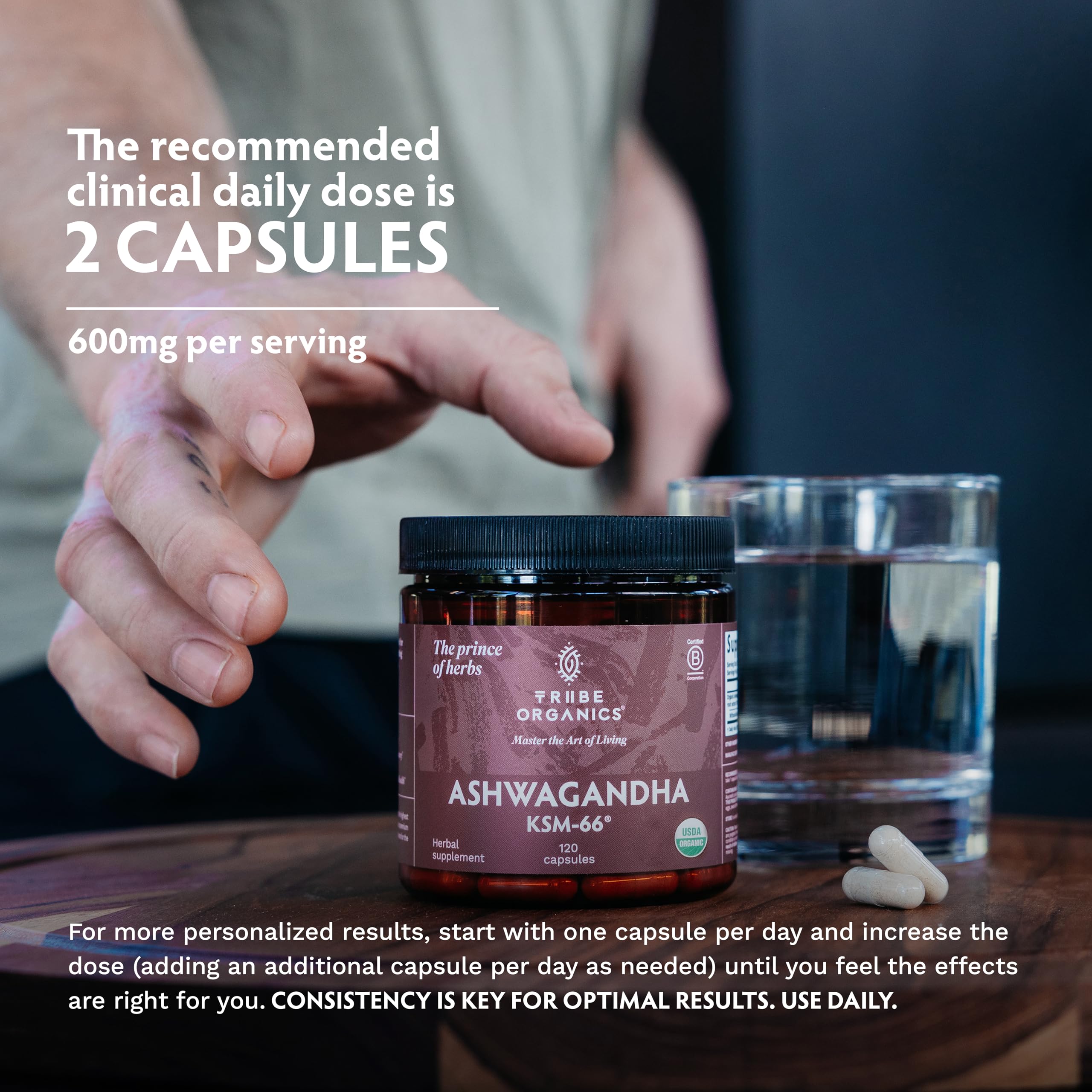 TRIBE ORGANICS Ashwagandha KSM66: cápsulas sobre mesa como parte de la rutina diaria