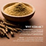 TRIBE ORGANICS Ashwagandha KSM66: raíz de ashwagandha pura y natural