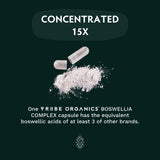 Empaque sostenible de TRIBE ORGANICS Boswellia Serrata y compromiso ambiental.