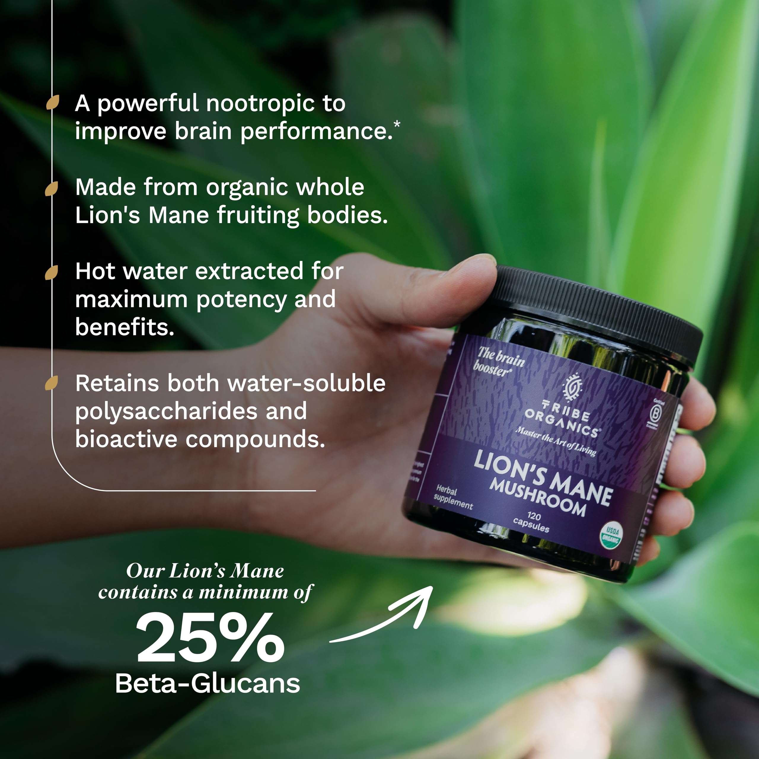 TRIBE ORGANICS Melena de León, envase sostenible y reciclable.