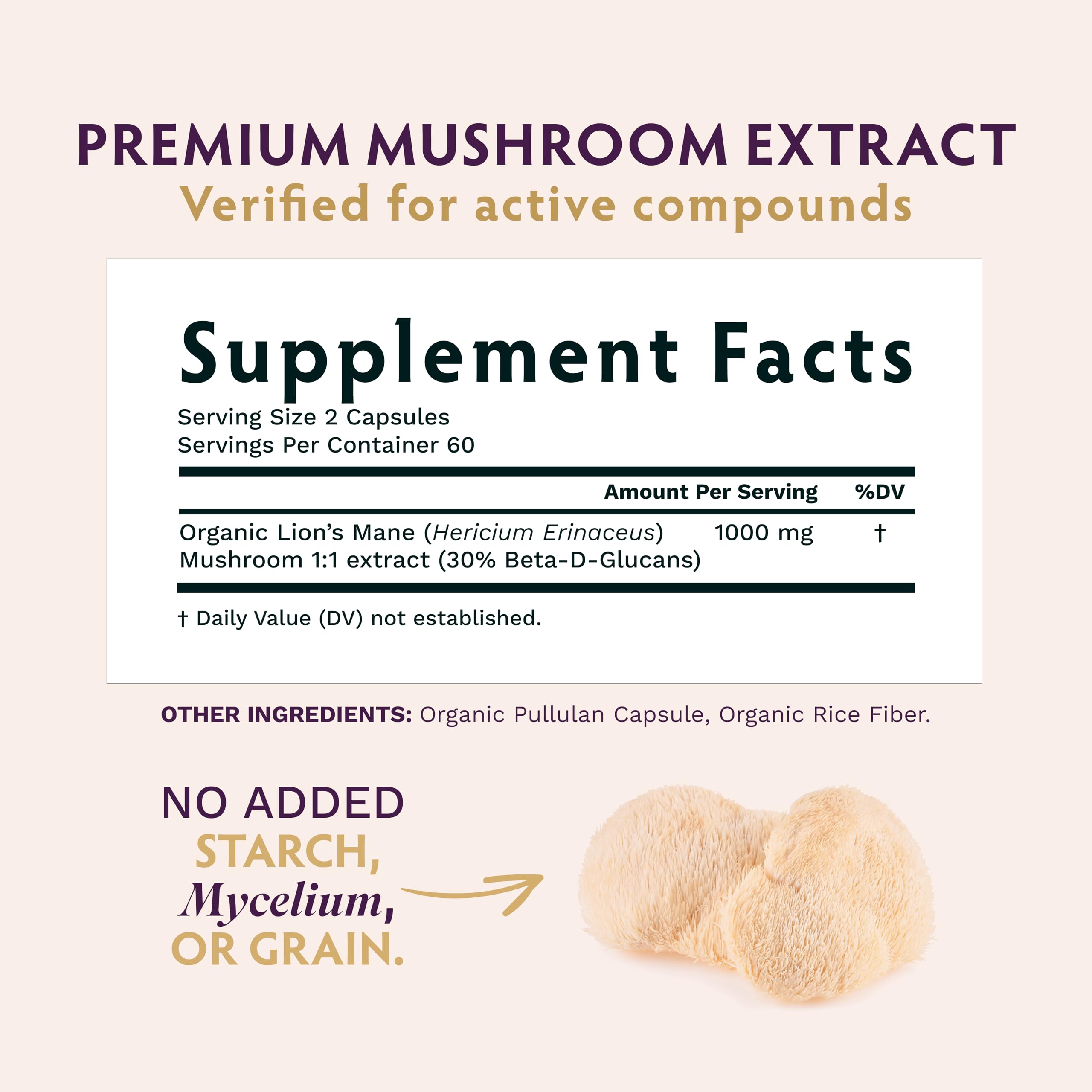 TRIBE ORGANICS Melena de León, polvo de extracto para mezclar bebidas.