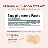 TRIBE ORGANICS Melena de León, polvo de extracto para mezclar bebidas.