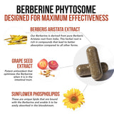 SoActive Berberine con fórmula fitosoma optimizada para absorción clínica.